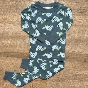 Hanna Andersson 100% Organic Cotton Long John PJ Set in “Tank the Turtle” Print
